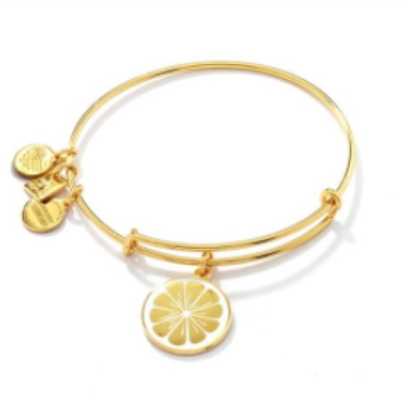 Alex and Ani Jewelry - Alex and Ani Zest For Life Citrus Bracelet Bangle